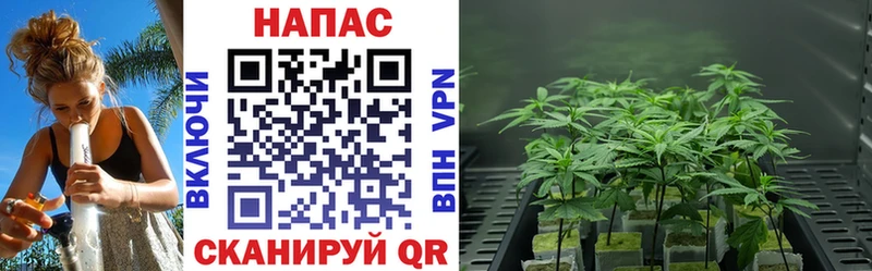 продажа наркотиков  Сим  Каннабис SATIVA & INDICA 